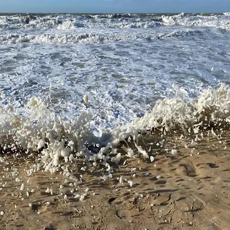 In Near The Seawall * Ostende